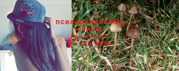 ALPHA PVP Бородино