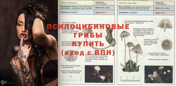 2c-b Бугульма
