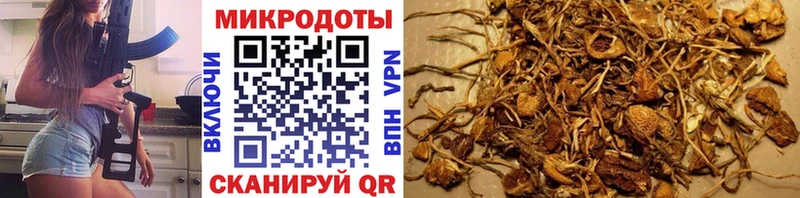 купить наркотики сайты omg маркетплейс Галлюциногенные грибы Psilocybe Донецк